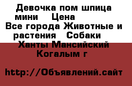 Девочка пом шпица мини  › Цена ­ 30 000 - Все города Животные и растения » Собаки   . Ханты-Мансийский,Когалым г.